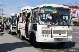 Курганские автобусы