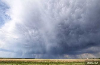 погода Челябинская область