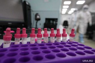 коронавирус