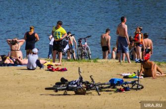 жара Курганская область