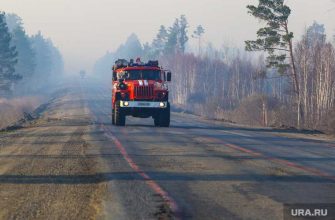 горят леса