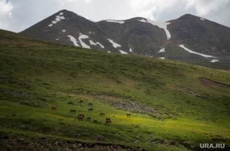 путешествия