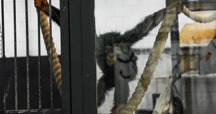 коронавирус