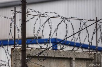 Тюменская область