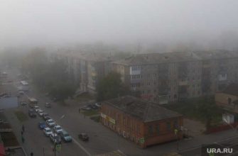 Курганская область