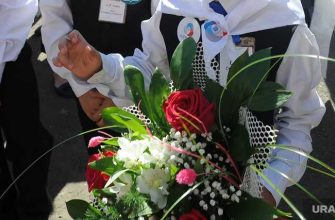 Челябинская область