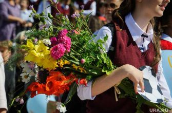 заморозка цен на цветы