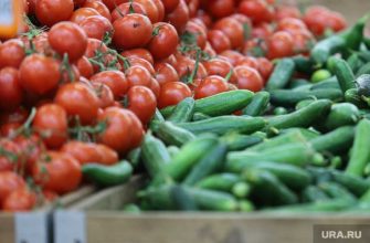 цена продукты