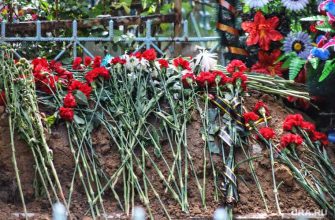 статистика