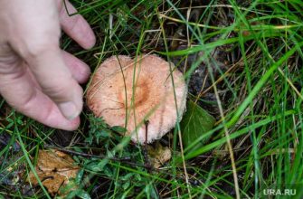 потепление