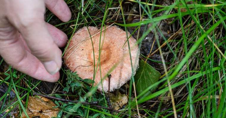 потепление