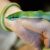 СК проверит екатеринбургский зоопарк, где змея укусила ребенка